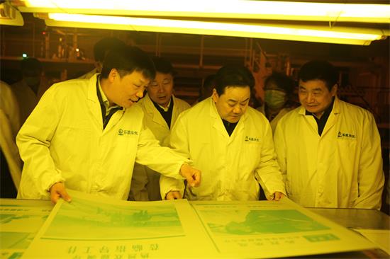 省政協(xié)領(lǐng)導到樂凱華光調(diào)研指導工作